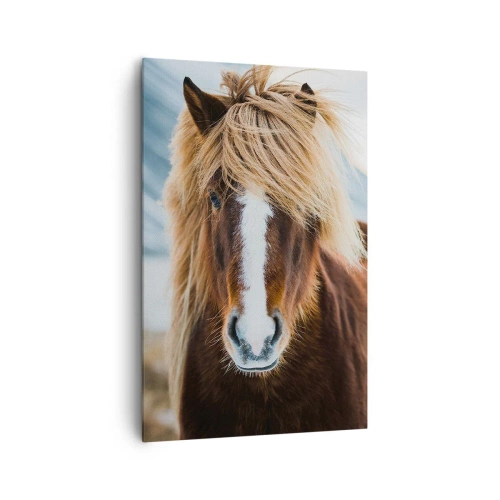 Cuadro sobre lienzo - Impresión de Imagen - Caballo islandés frente a un paisaje montañoso - 80x120cm - ¿Puedes sentir la libertad? - Decoración de pared moderna para salón y dormitorio ARTTOR