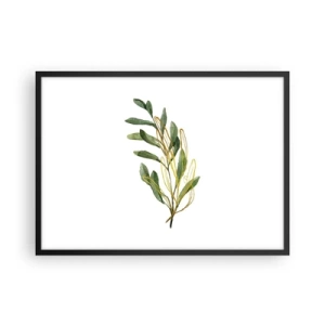Póster en marco negro - Rama verde con hojas sobre fondo blanco. - 70x50cm - La vida se abre camino - Decoración de pared moderna para salón y dormitorio ARTTOR