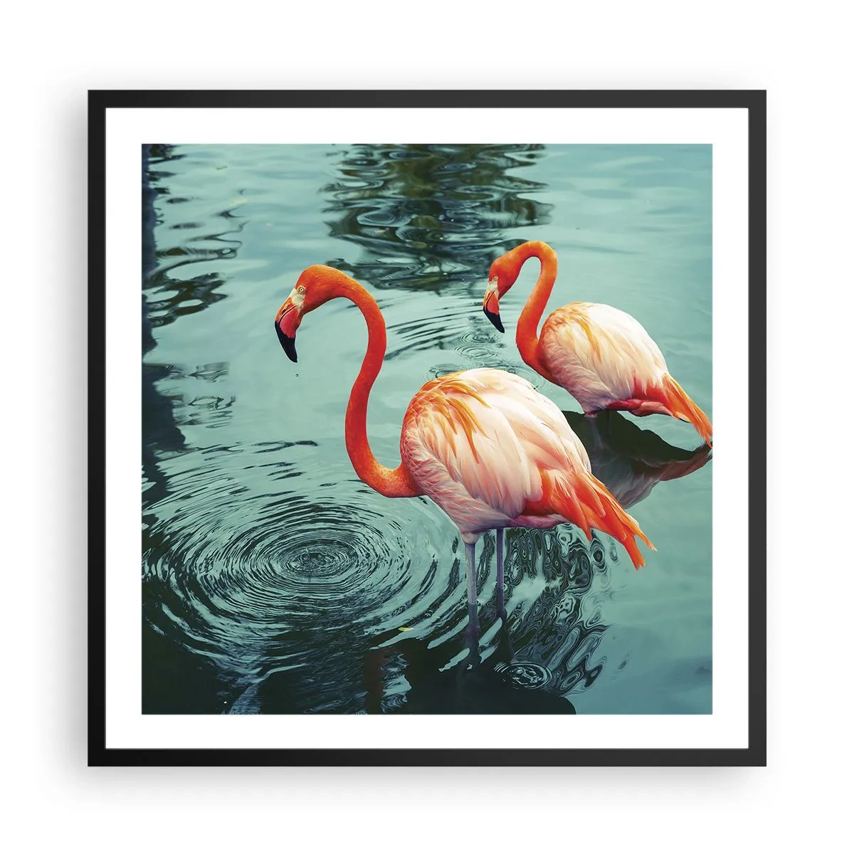 Póster en marco negro - Estamos de moda - 60x60 cm