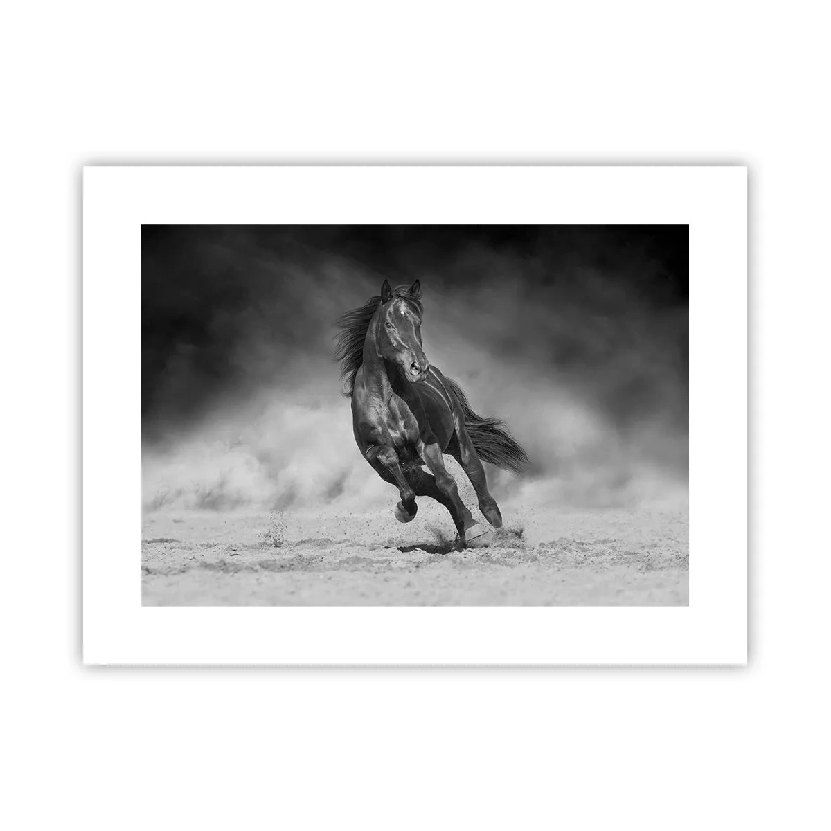 Póster - Digno del propio emir - 40x30 cm