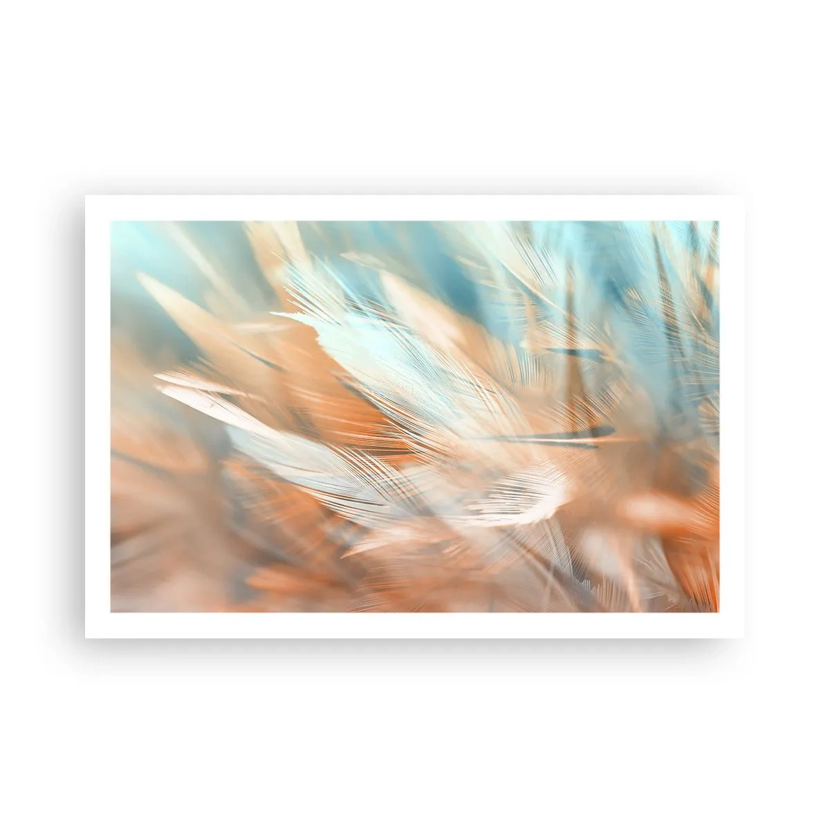 Póster - En la tierra de la suavidad - 91x61 cm