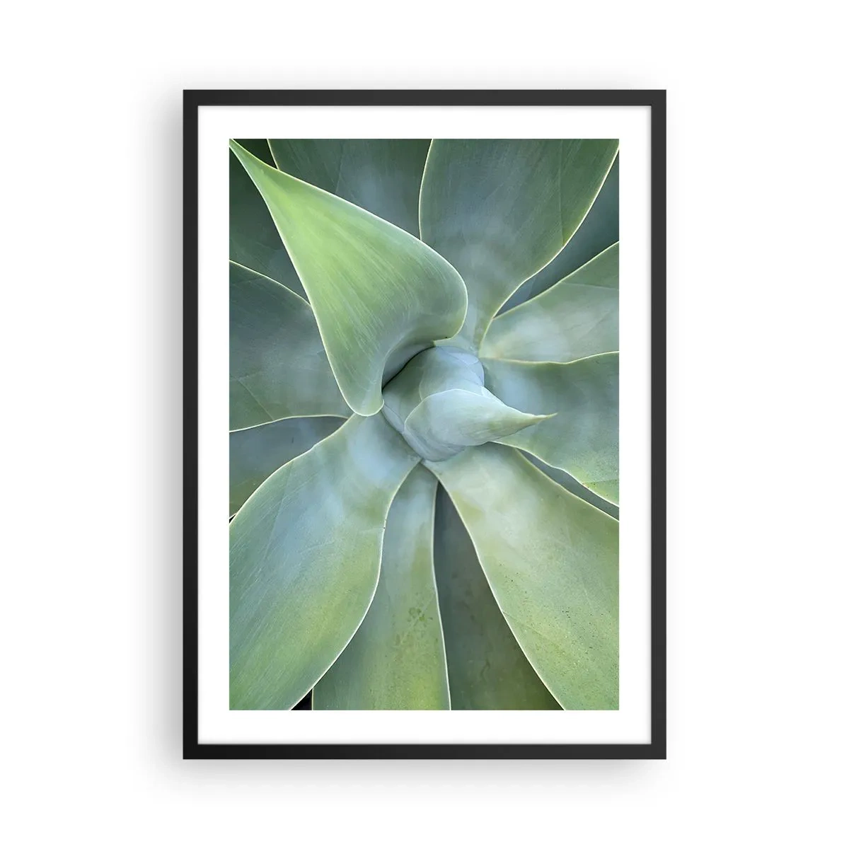 Póster en marco negro - Primer plano de hojas suculentas simétricas - 50x70cm - El nacimiento del verde - Decoración de pared moderna para salón y dormitorio ARTTOR