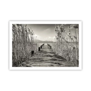 Póster - En la quietud de los juncos - 91x61 cm