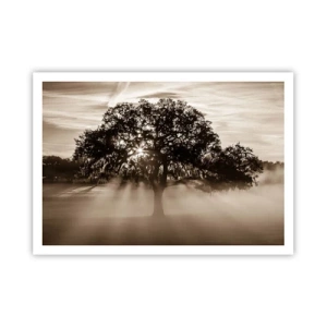 Póster - Rayos de sol brillando a través de un árbol solitario. - 100x70cm - Un árbol de buenas noticias  - Decoración de pared moderna para salón y dormitorio ARTTOR