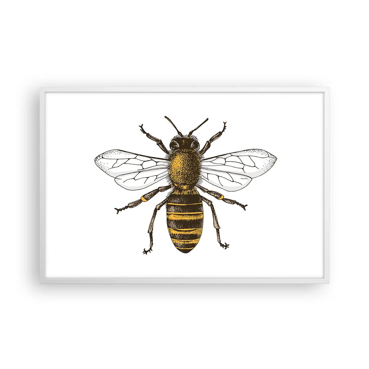 Póster en marco blanco - Bondad natural - 91x61 cm