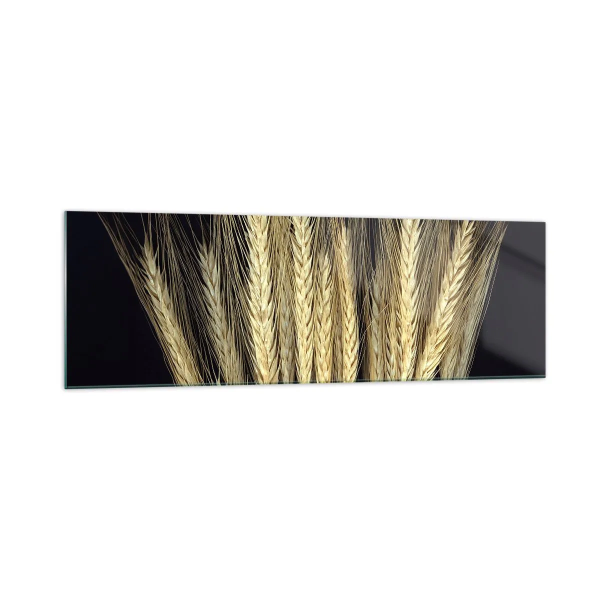 Cuadro sobre vidrio - Impresiones sobre Vidrio - Espigas de trigo sobre fondo negro en estilo rústico - 160x50cm - Magia rústica - Decoración de pared moderna para salón y dormitorio ARTTOR
