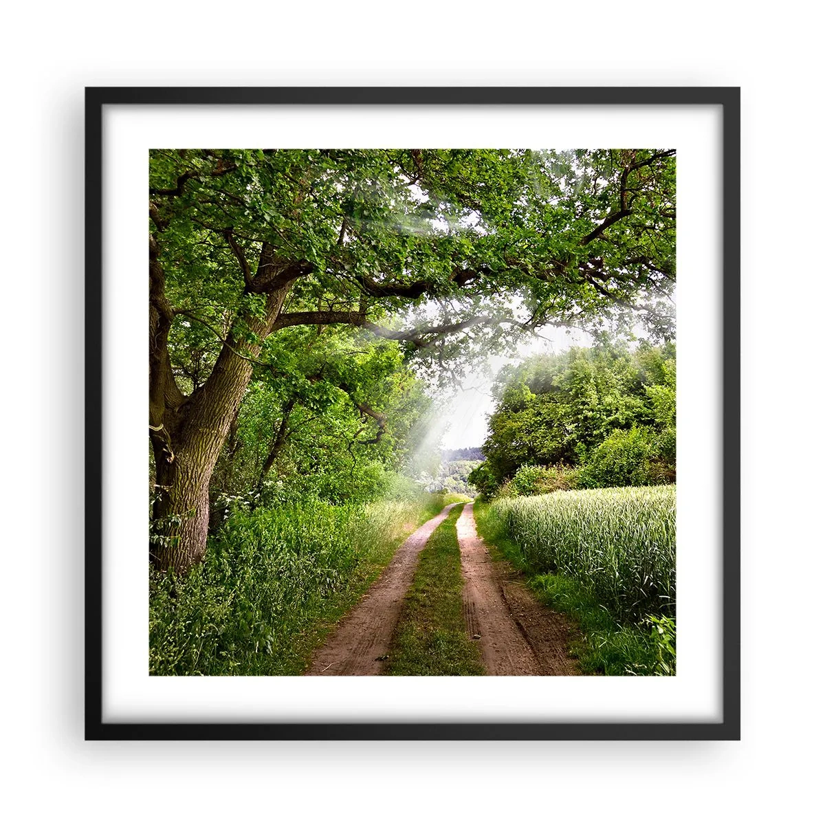 Póster en marco negro - Ensueño - 50x50 cm