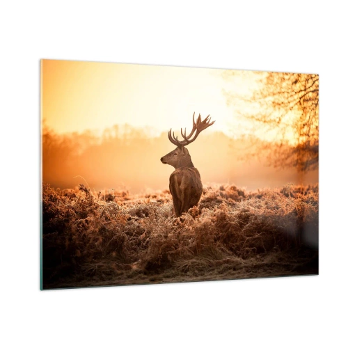 Cuadro sobre vidrio - Impresiones sobre Vidrio - Ciervos con el amanecer como telón de fondo en un paisaje natural. - 100x70cm - Un líder por derecho - Decoración de pared moderna para salón y dormitorio ARTTOR