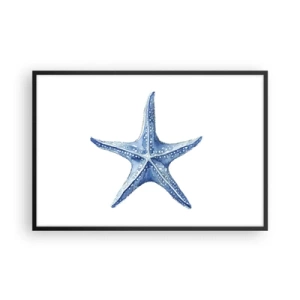 Póster en marco negro - Estrella de mar - 91x61 cm