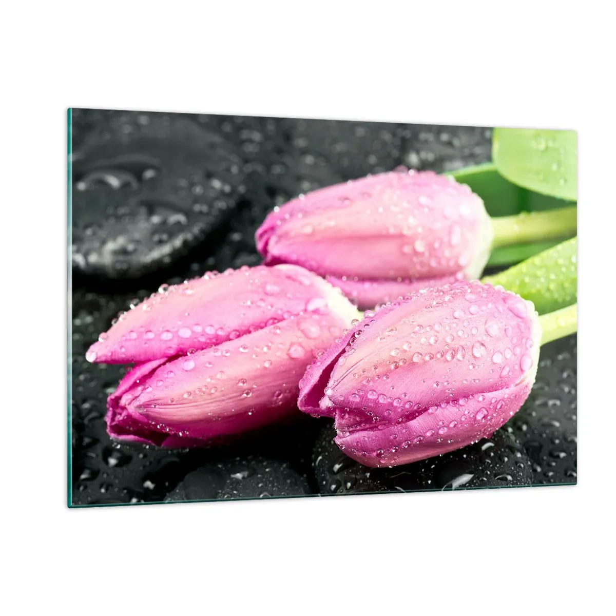 Cuadro sobre vidrio - Impresiones sobre Vidrio - Tres tulipanes rosas cubiertos de gotas de agua sobre un fondo negro. - 120x80cm - Lilas sobre piedra negra - Decoración de pared moderna para salón y dormitorio ARTTOR