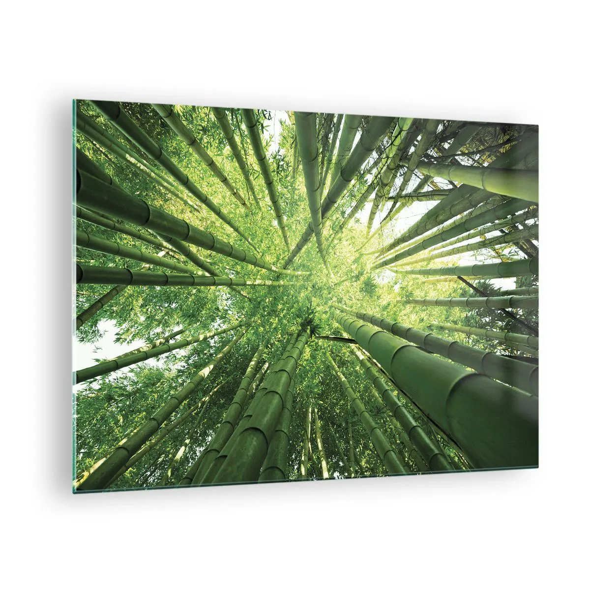 Cuadro sobre vidrio - Impresiones sobre Vidrio - Vista en perspectiva ascendente del bosque de bambú. - 70x50cm - En un bosquecillo de bambú - Decoración de pared moderna para salón y dormitorio ARTTOR