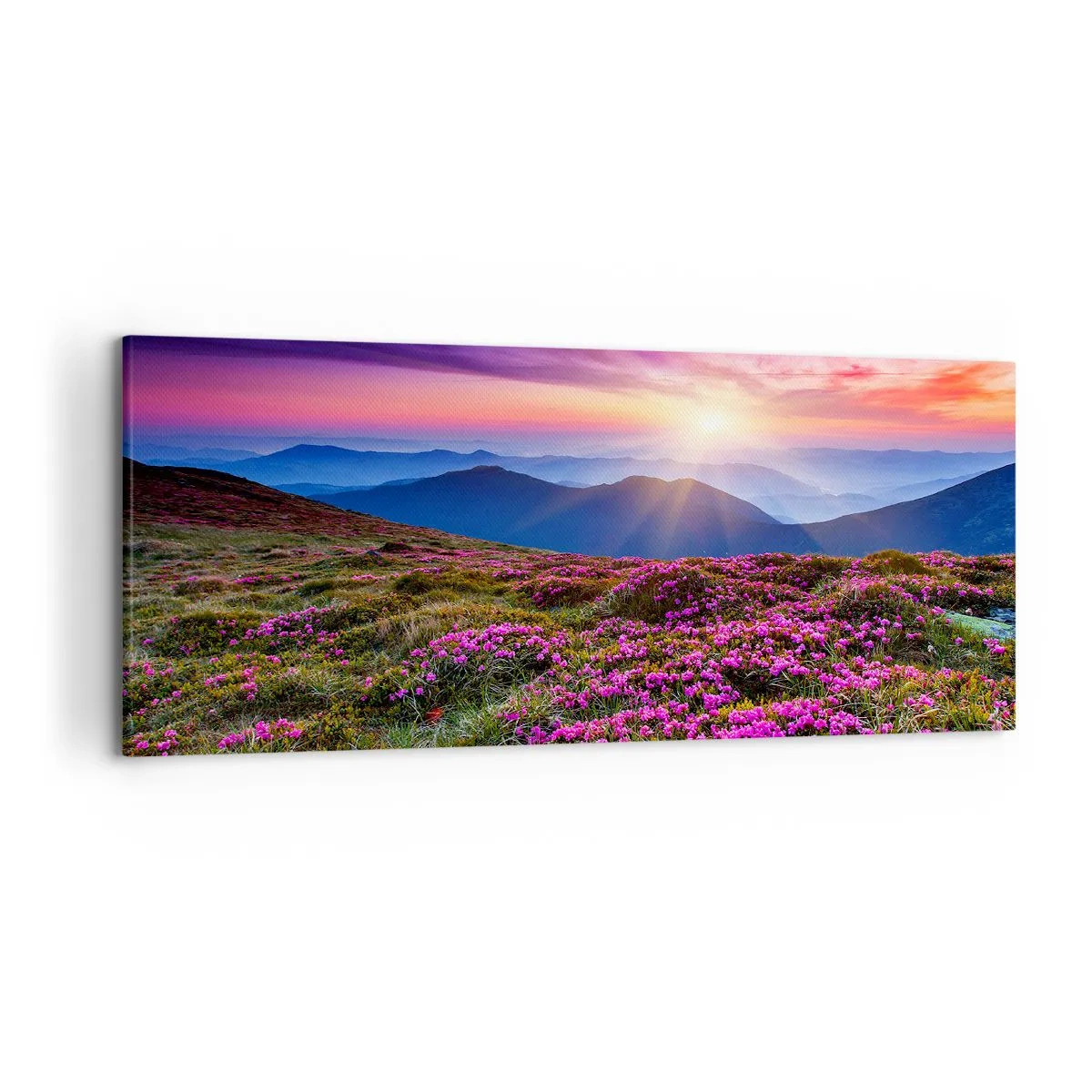 Cuadro sobre lienzo - Impresión de Imagen - Prado de montaña con flores al atardecer - 120x50cm - Dulce aroma a frescura - Decoración de pared moderna para salón y dormitorio ARTTOR
