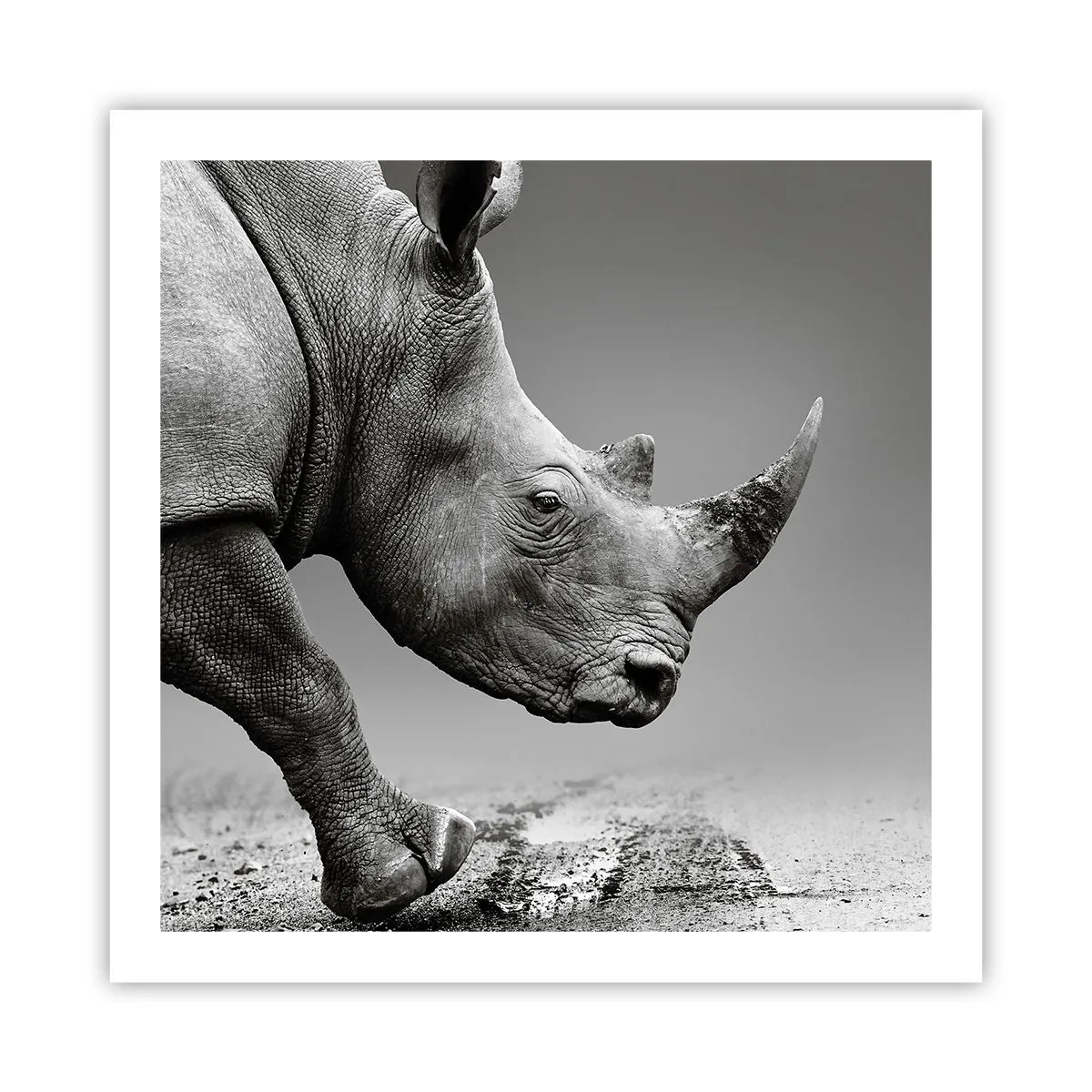 Póster - Fuerza imparable - 60x60 cm