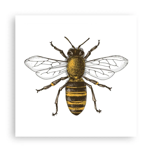 Póster - Bondad natural - 50x50 cm