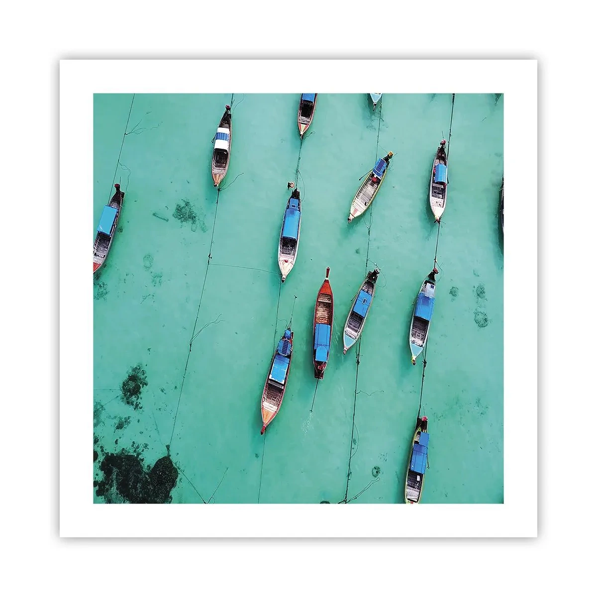 Póster - En alegre espera - 50x50 cm