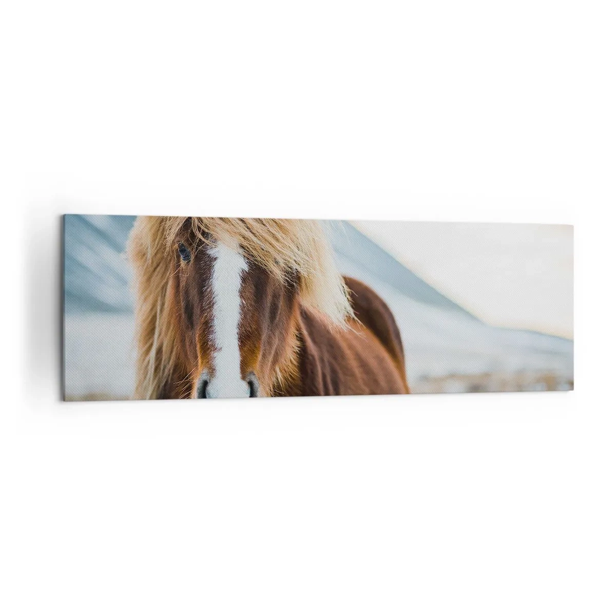 Cuadro sobre lienzo - Impresión de Imagen - Caballo islandés frente a un paisaje montañoso - 160x50cm - ¿Puedes sentir la libertad? - Decoración de pared moderna para salón y dormitorio ARTTOR