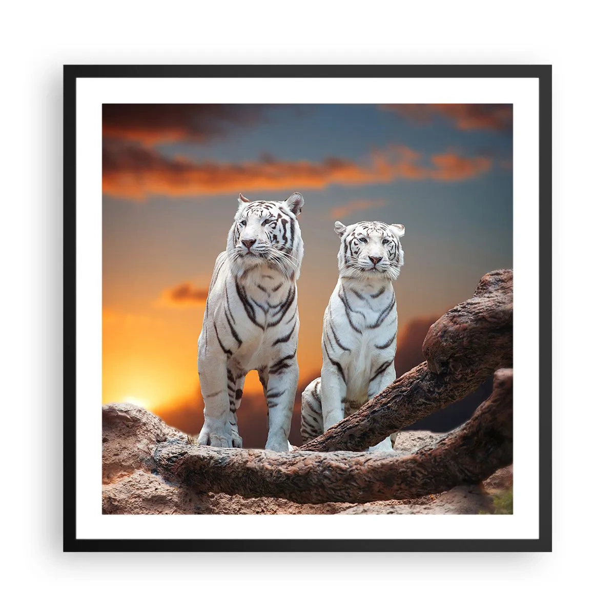 Póster en marco negro - Como en Narnia - 60x60 cm