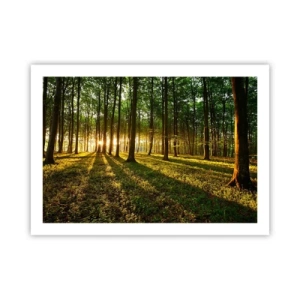 Póster - Una fotografía de todos los manantiales - 70x50 cm