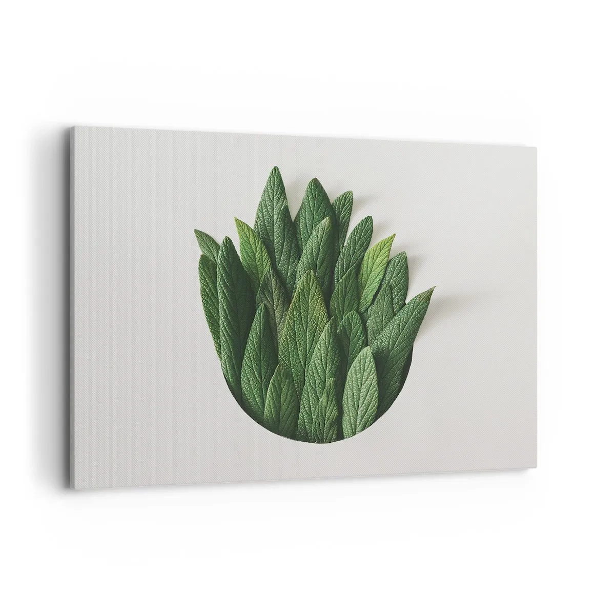 Cuadro sobre lienzo - Impresión de Imagen - Una composición de hojas verdes sobre un fondo claro. - 100x70cm - Curiosidad desenfrenada - Decoración de pared moderna para salón y dormitorio ARTTOR