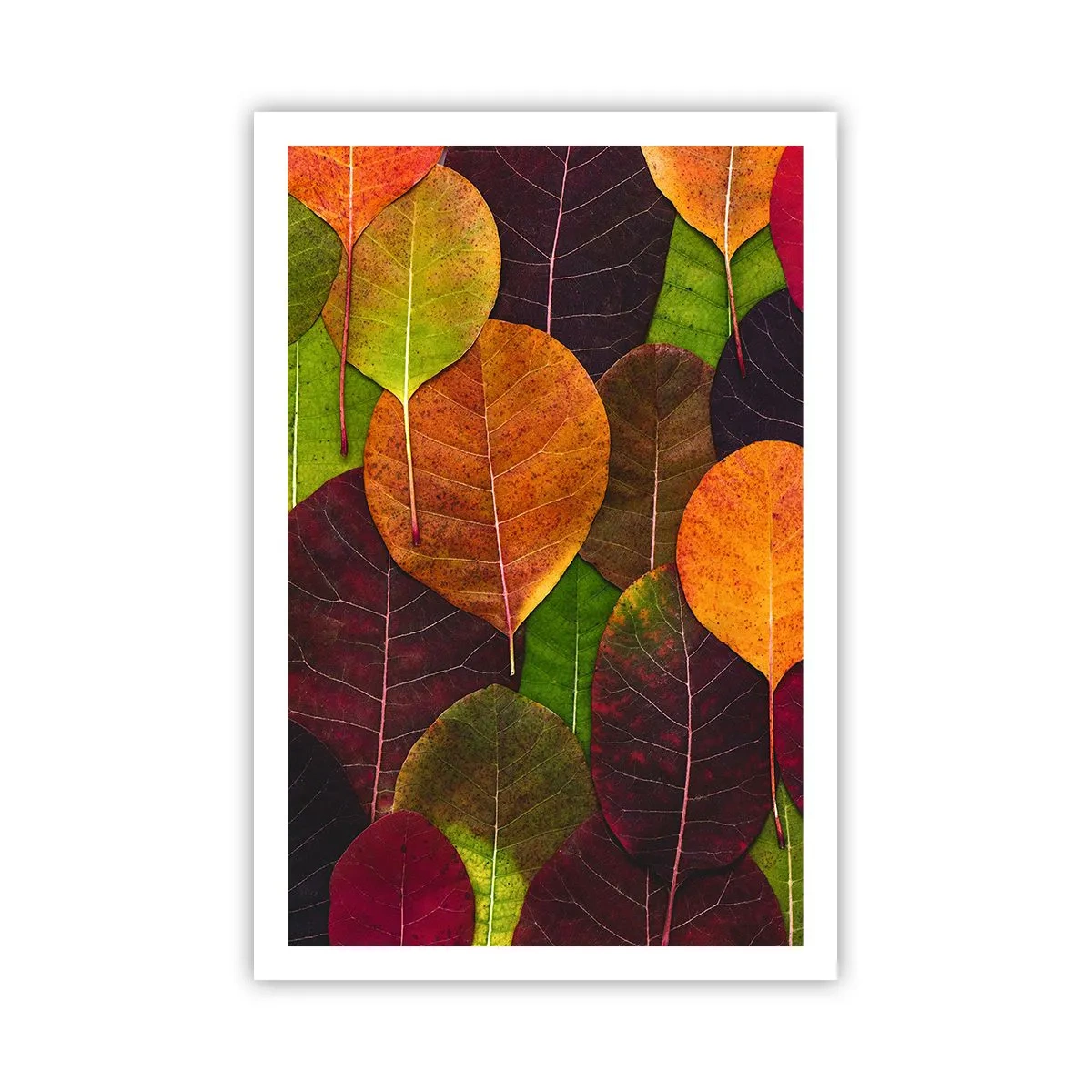 Póster - Mosaico de otoño - 61x91 cm