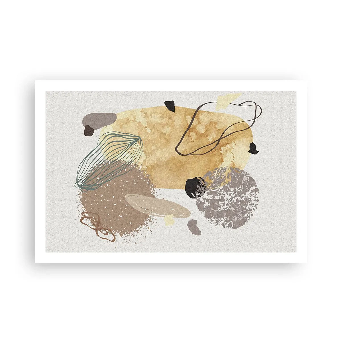 Póster - Plumología aplicada - 91x61 cm