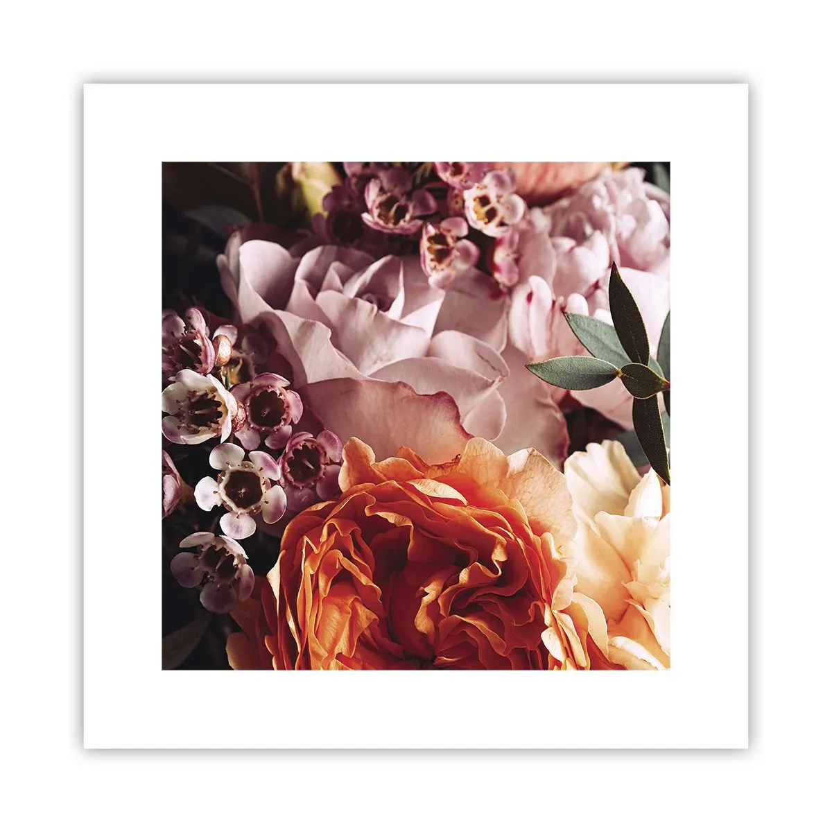 Póster - Belleza envolvente - 30x30 cm