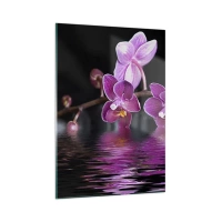 50x70 cm | Vertical