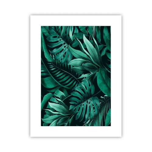 Póster - Profundidad del verde tropical - 30x40 cm