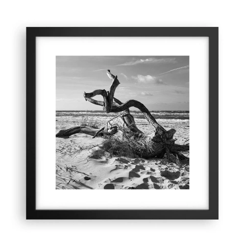 Póster en marco negro - Escultura marina - 30x30 cm