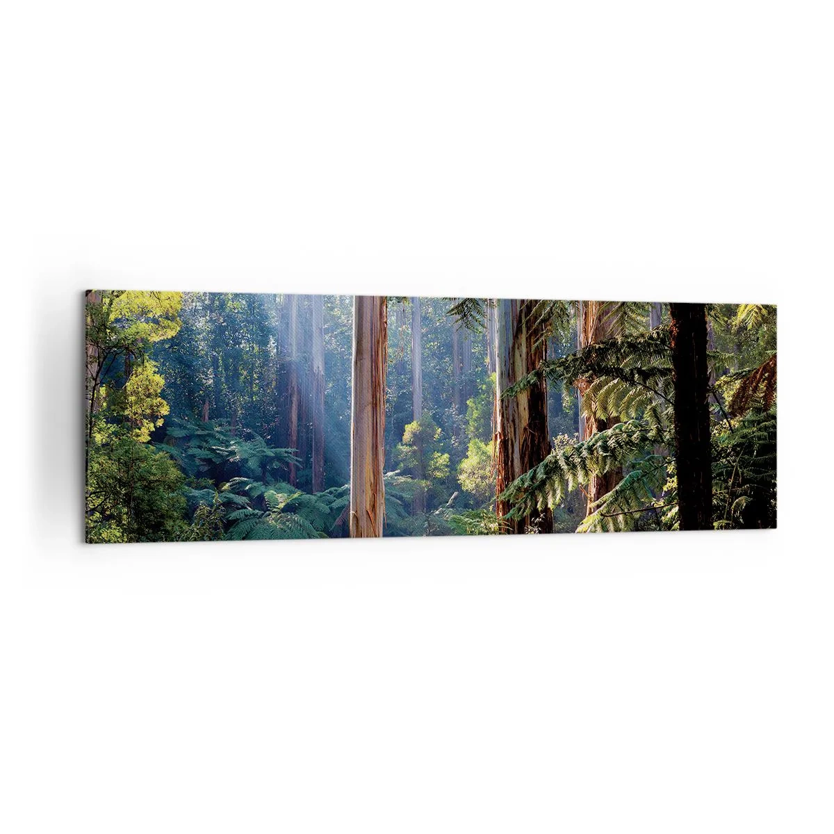 Cuadro sobre lienzo - Impresión de Imagen - Bosque tropical iluminado por los rayos del sol - 160x50cm - Un cuento de hadas del bosque - Decoración de pared moderna para salón y dormitorio ARTTOR