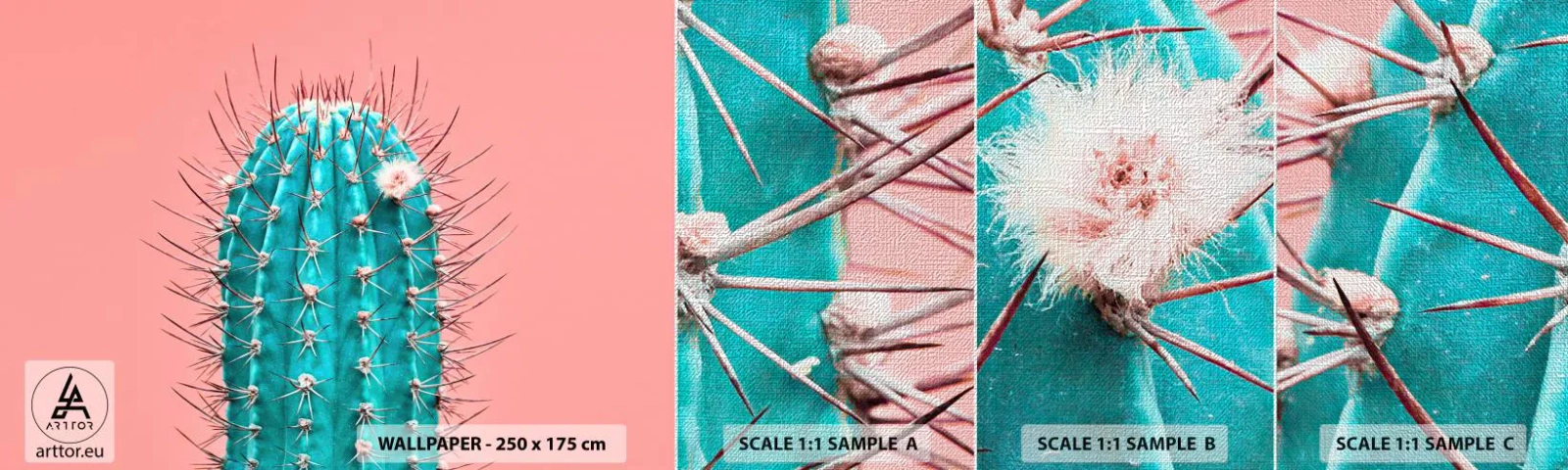 Muestra de fotomural Premium Canvas - Se mira, pero no se toca - Cactus, Pastel, Minimalismo - 100x30 cm