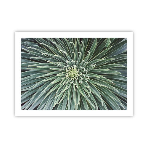 Póster - El nacimiento de una estrella - 70x50 cm