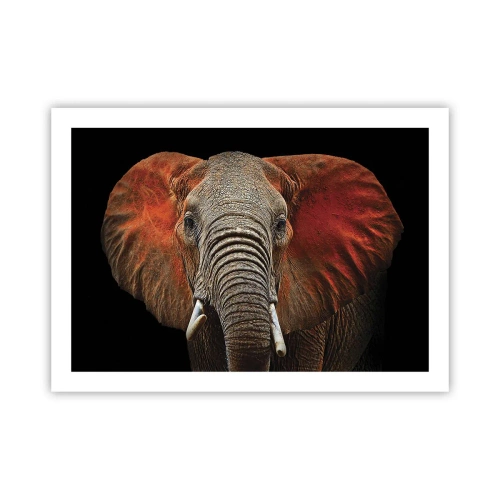 Póster - Soy salvaje, ¿y tú? - 70x50 cm