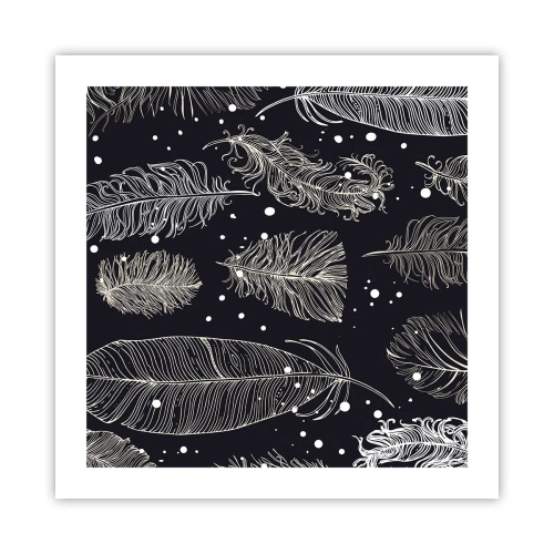 Póster - Encaje de plumas - 50x50 cm