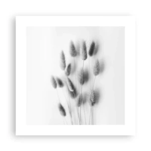 Póster - Esponjas naturales - 40x40 cm