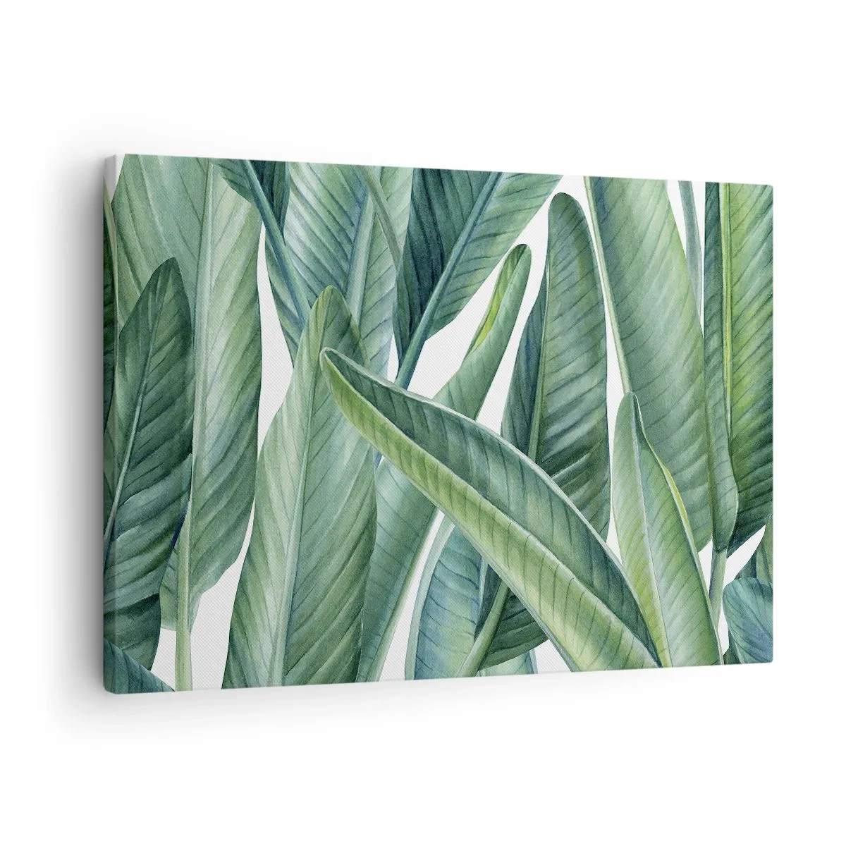 Cuadro sobre lienzo - Impresión de Imagen - Hojas verdes en un estilo botánico minimalista. - 70x50cm - Vegetación en estado puro - Decoración de pared moderna para salón y dormitorio ARTTOR