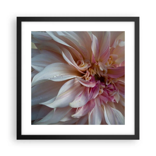 Póster en marco negro - Frescura floreciente - 40x40 cm