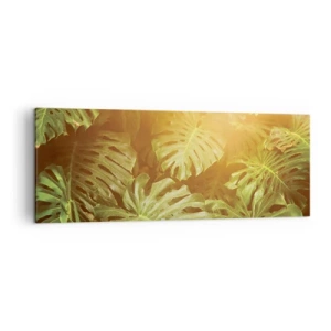 Cuadro sobre lienzo - Impresión de Imagen - Hojas de monstera a la luz del sol sobre un fondo natural. - 140x50cm - Hacia el verdor... - Decoración de pared moderna para salón y dormitorio ARTTOR