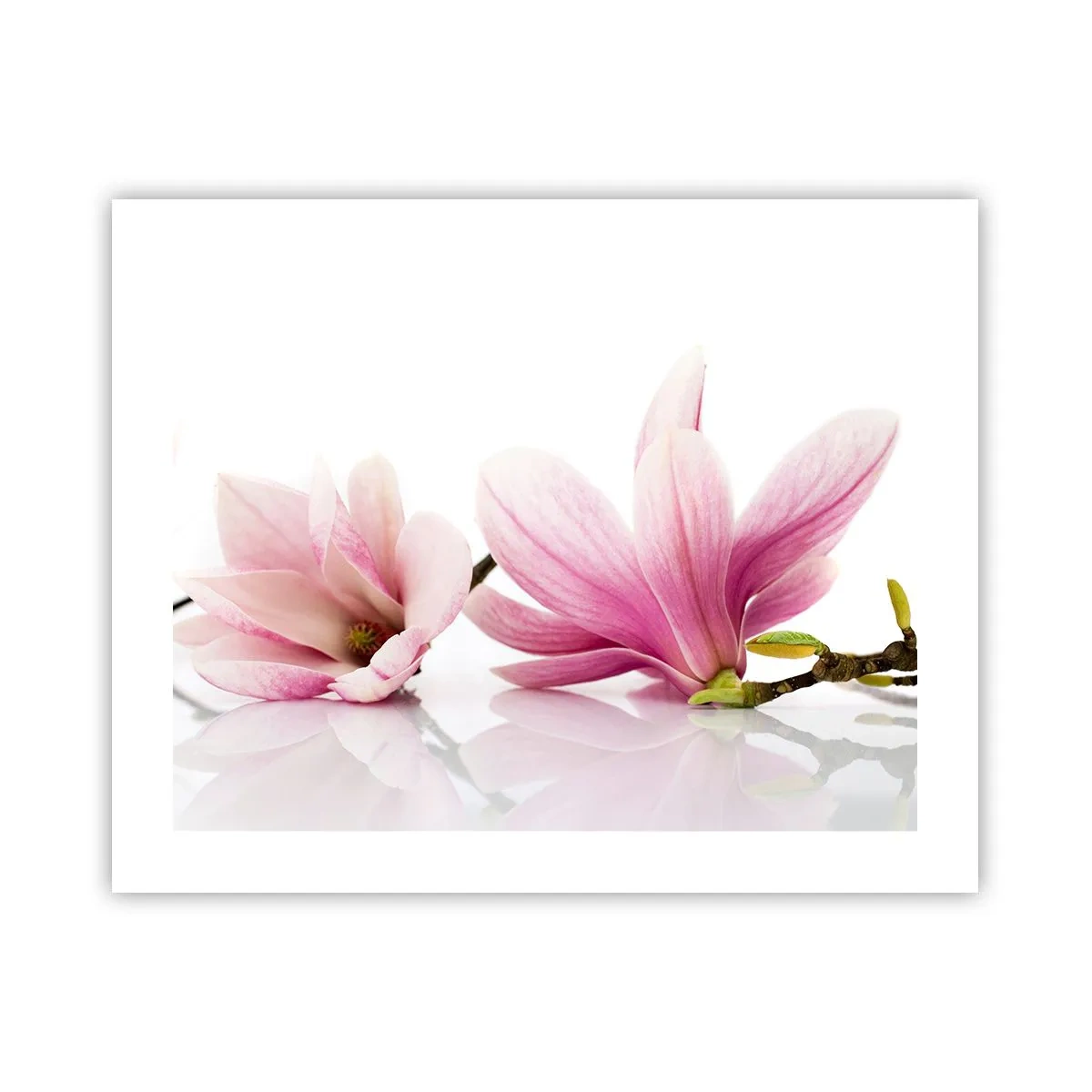 Póster - Suave como un soplo de primavera - 50x40 cm