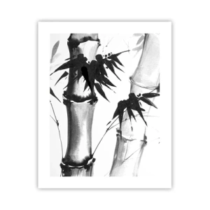 Póster - Primer plano de Oriente - 40x50 cm