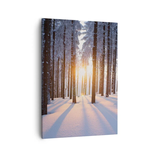 Cuadro sobre lienzo - Impresión de Imagen - Bosque invernal iluminado por los rayos del sol. - 50x70cm - Claramente en blanco y negro - Decoración de pared moderna para salón y dormitorio ARTTOR