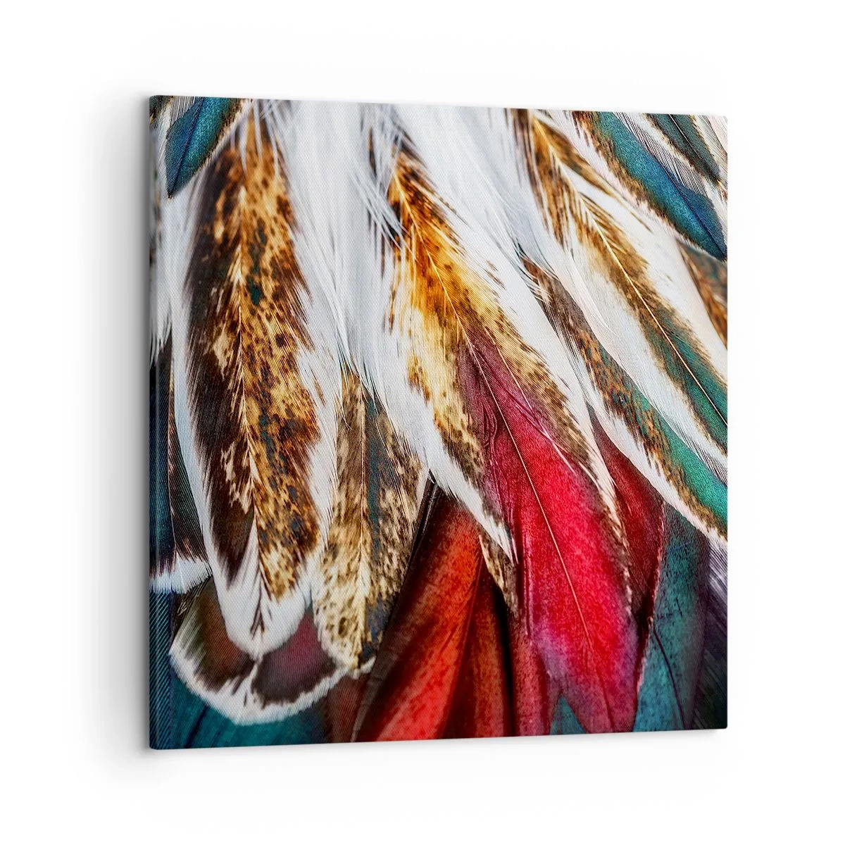 Cuadro sobre lienzo - Impresión de Imagen - Los misterios del vuelo - 50x50 cm