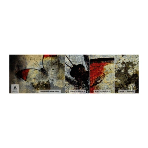 Muestra de fotomural Premium Canvas - Mira antes de que desaparezca - Abstracción, Mariposa, Pedazo - 100x30 cm
