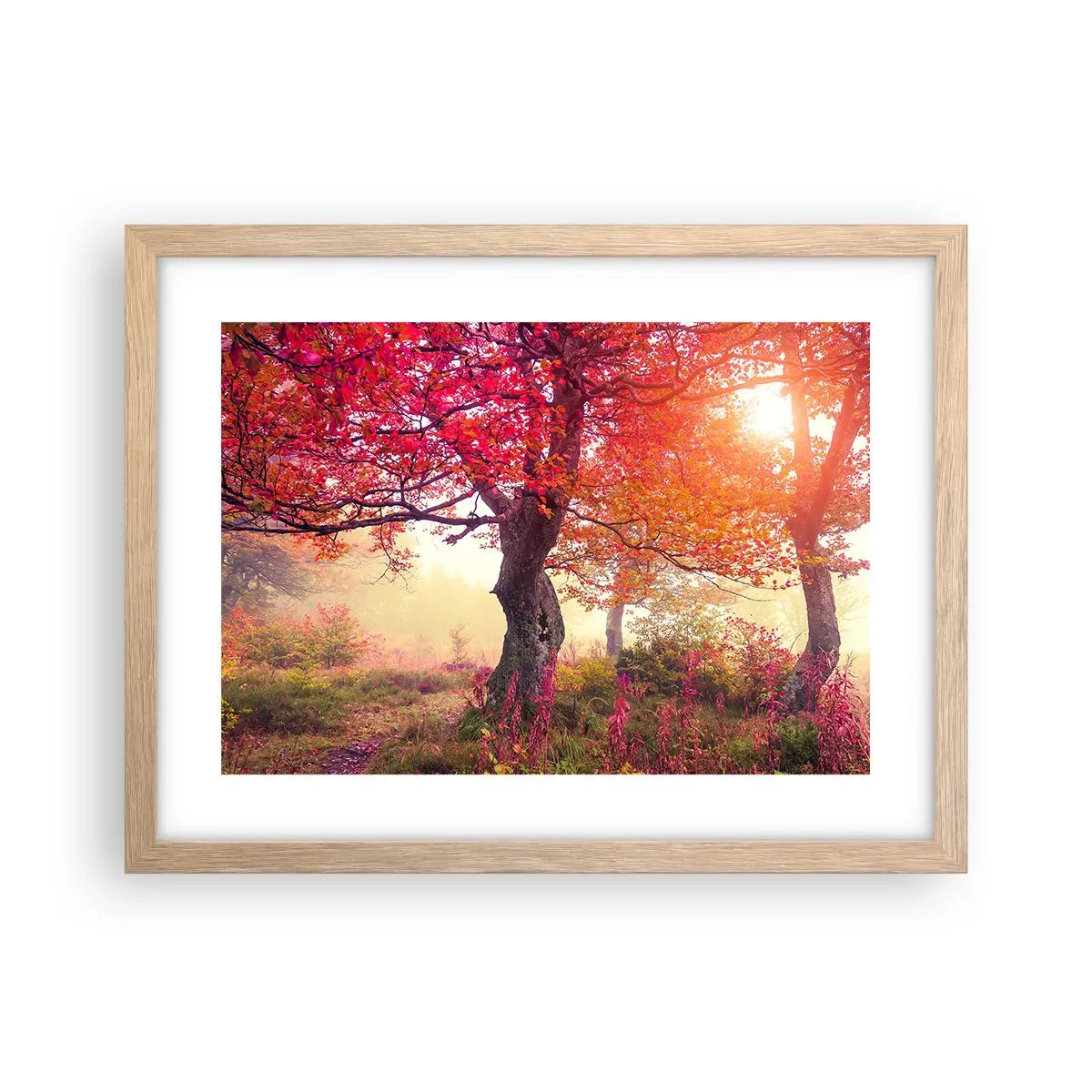 Póster en marco roble claro - Un frenesí de floración - 40x30 cm