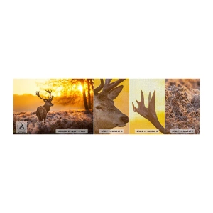 Muestra de fotomural Premium Canvas - Rey del bosque de otoño - Paisaje, Ciervo, Naturaleza - 100x30 cm