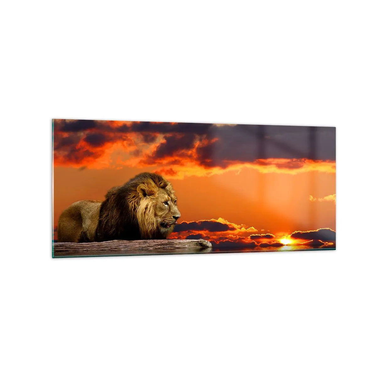 Cuadro sobre vidrio - Impresiones sobre Vidrio - Un león descansa junto al agua al atardecer con un cielo dramático. - 120x50cm - Rey de la naturaleza - Decoración de pared moderna para salón y dormitorio ARTTOR