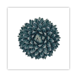 Póster - Estrella del desierto - 50x50 cm