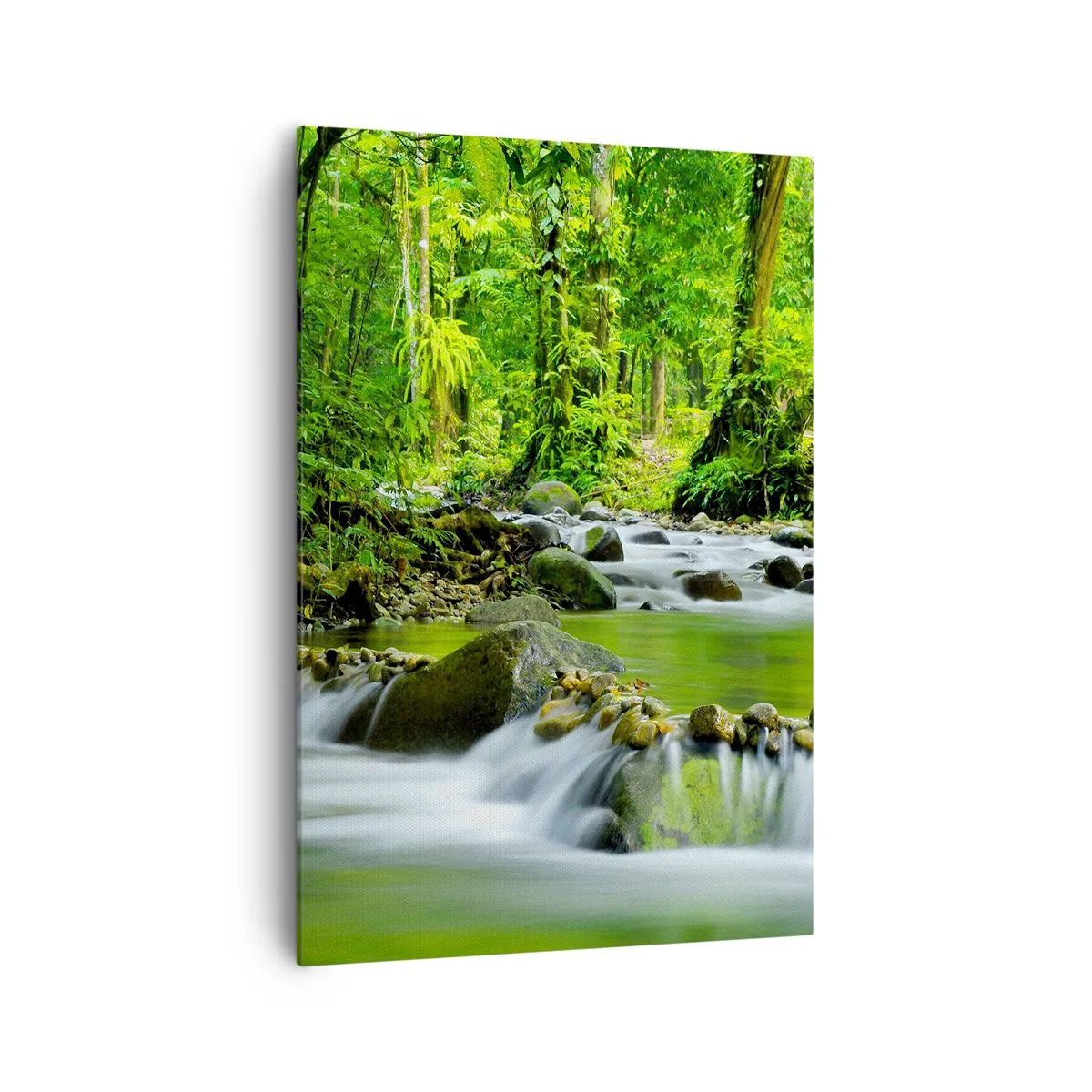 Cuadro sobre lienzo - Impresión de Imagen - Un arroyo en un exuberante bosque tropical. - 70x100cm - Flotar en un mar de verde - Decoración de pared moderna para salón y dormitorio ARTTOR