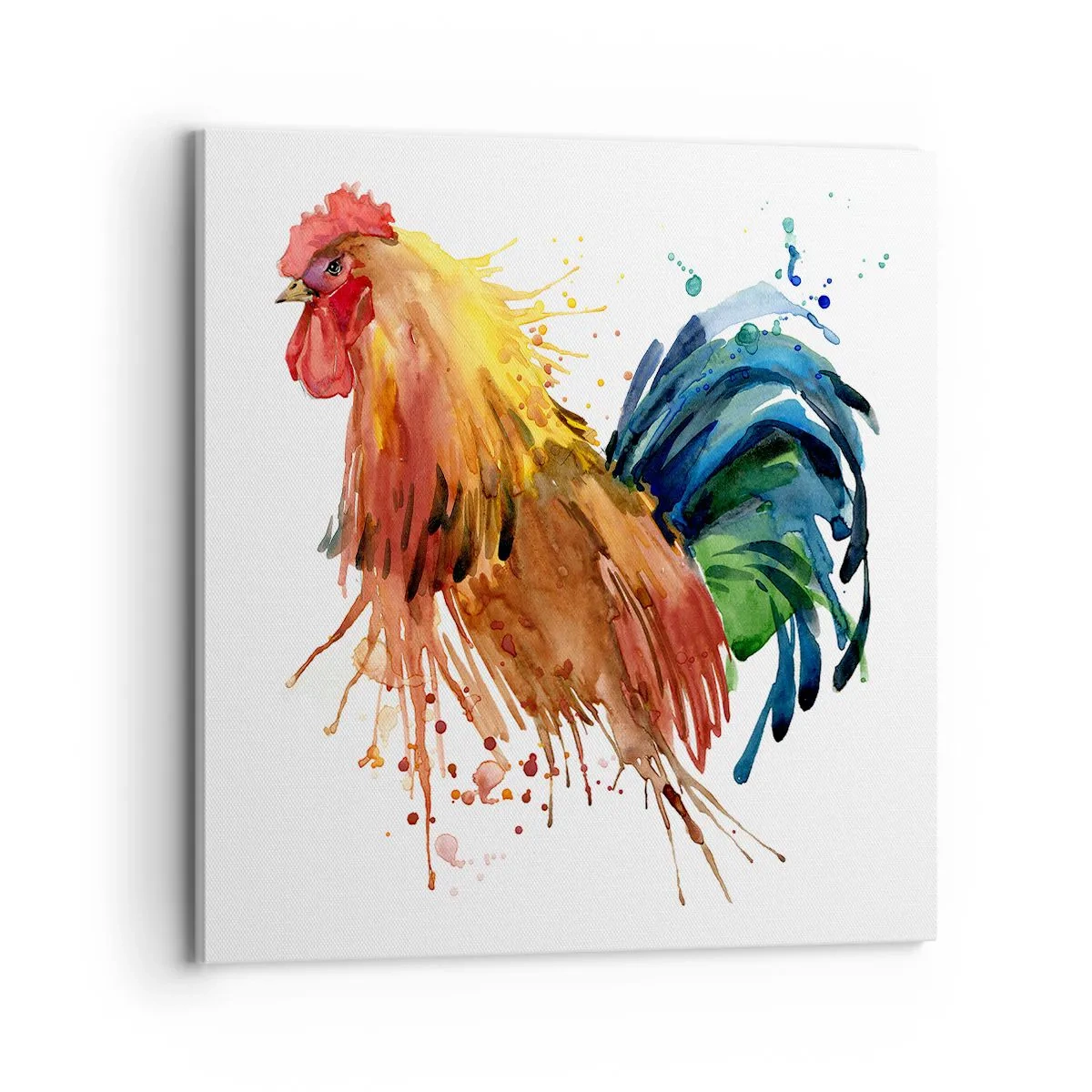 Cuadro sobre lienzo - Impresión de Imagen - Un manto real, un orgullo real - 70x70 cm