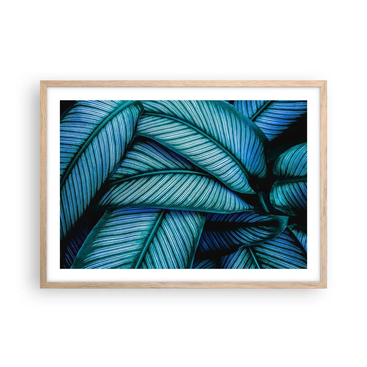 Póster en marco roble claro - Líneas de vida - 70x50 cm